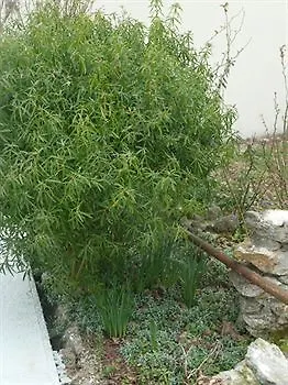 Отель типа 